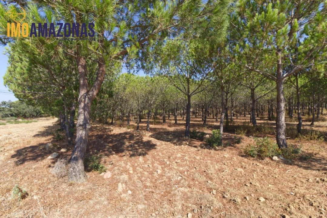 Quinta T0 para Venda em Estômbar e Parchal Foto 6