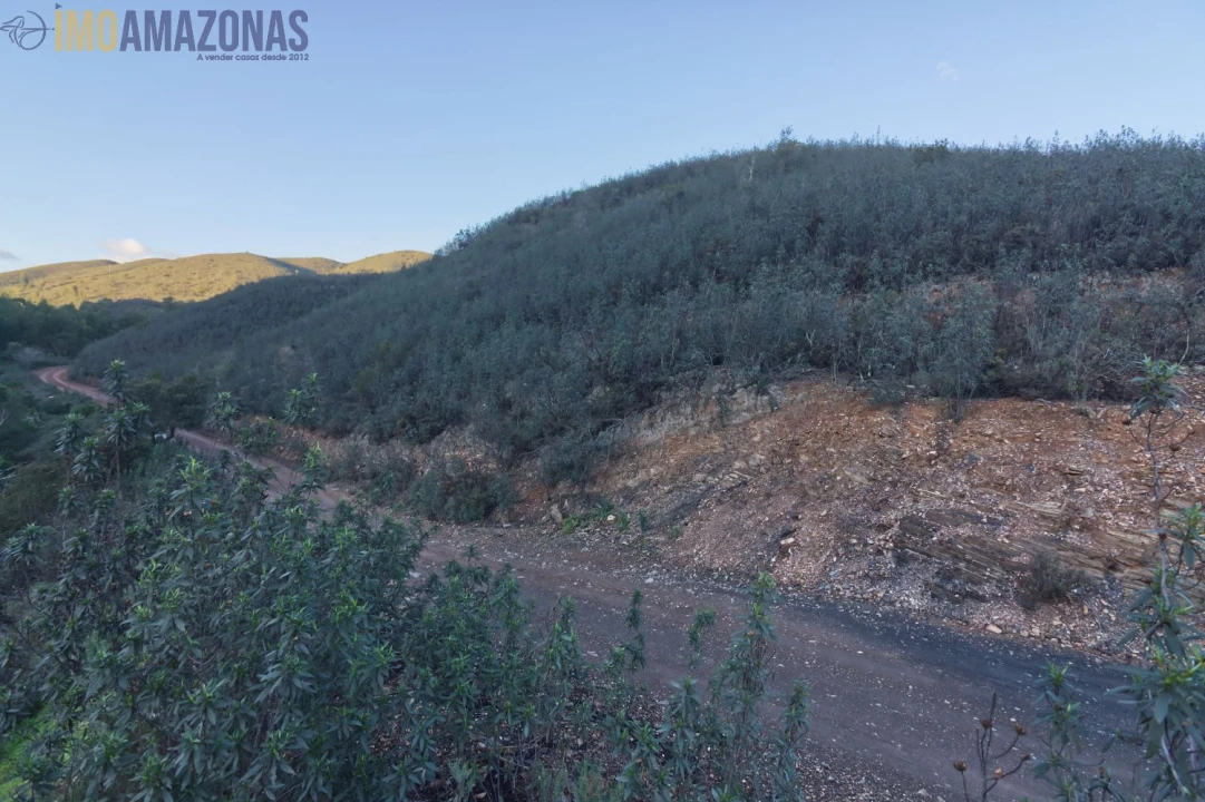 Terreno para Venda em São Marcos da Serra Foto 4