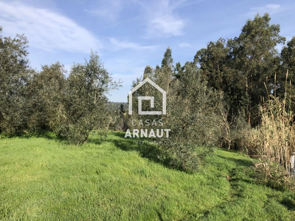 Terreno para Venda em Almagreira Foto 2