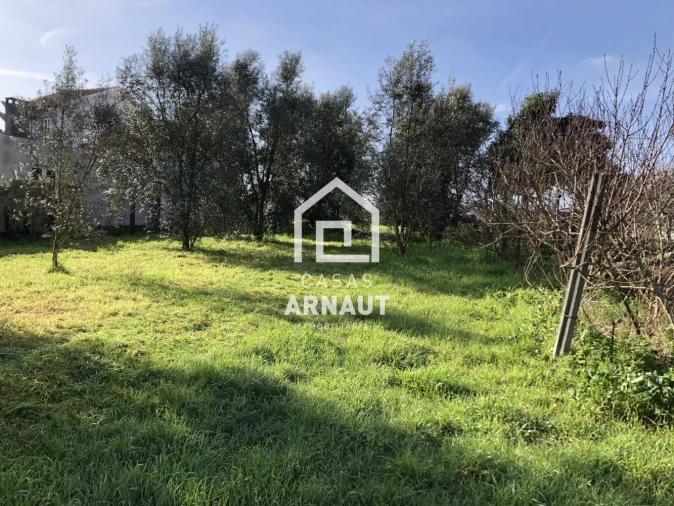 Terreno para Venda em Almagreira Foto 7