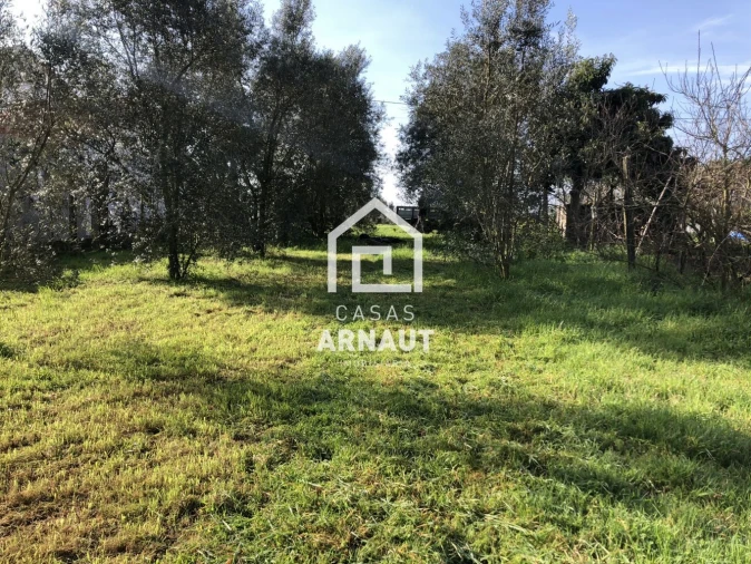 Terreno para Venda em Almagreira Foto 8