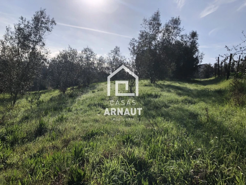 Terreno para Venda em Almagreira Foto 4