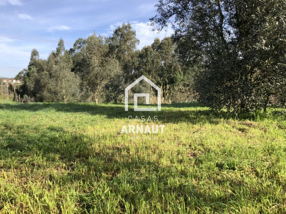 Terreno para Venda em Almagreira Foto 1