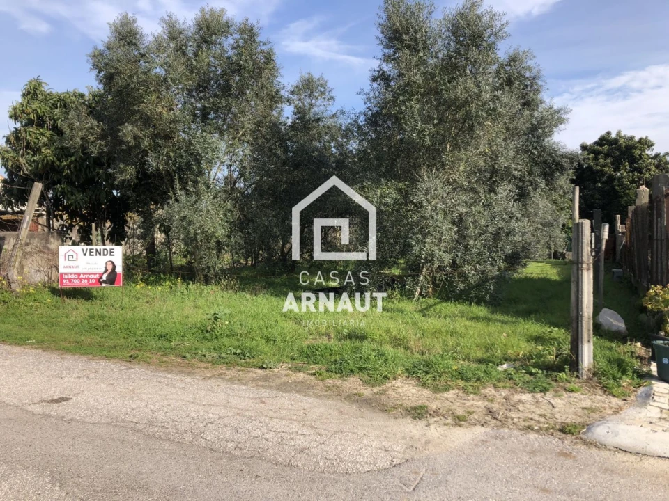 Terreno para Venda em Almagreira Foto 9