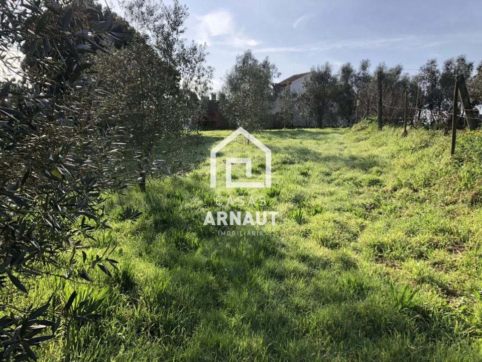 Terreno para Venda em Almagreira Foto 6