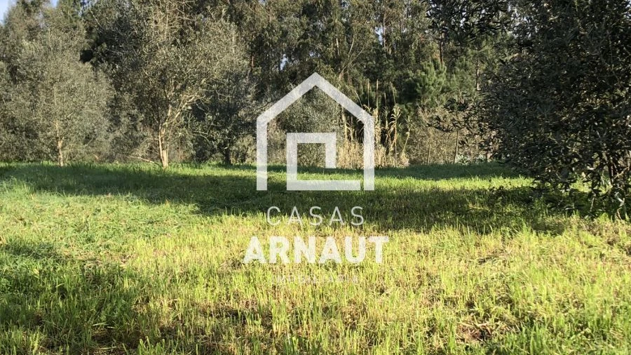 Terreno para Venda em Almagreira