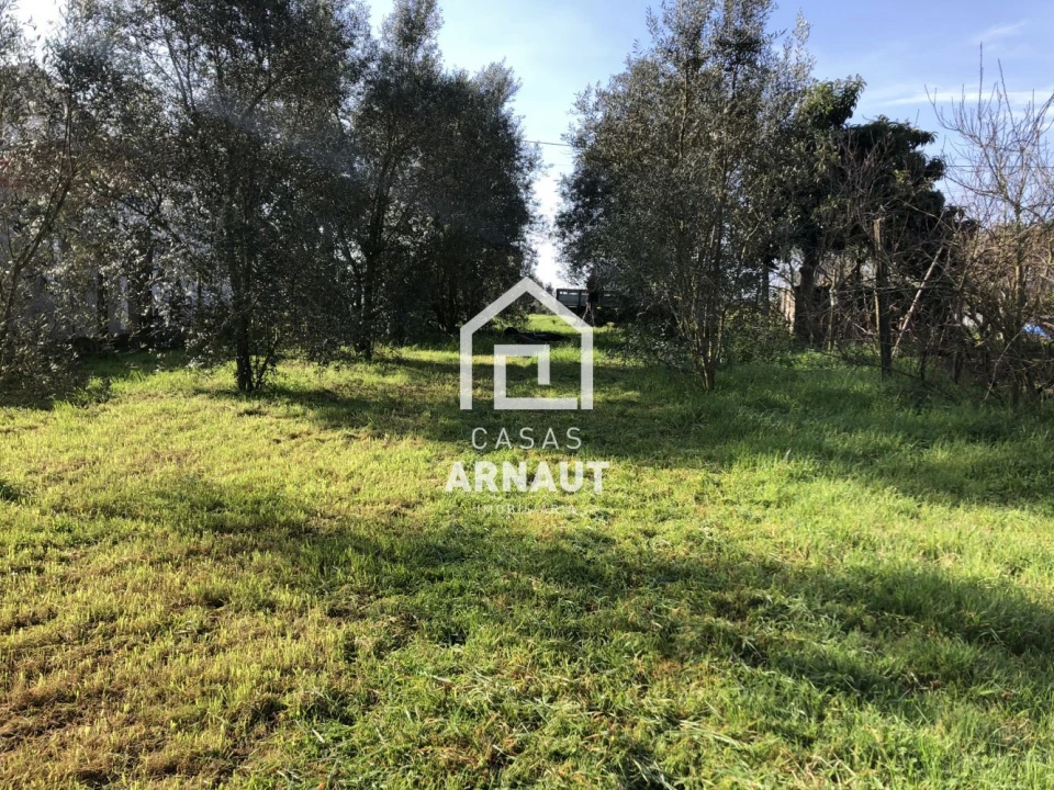 Terreno para Venda em Almagreira Foto 8