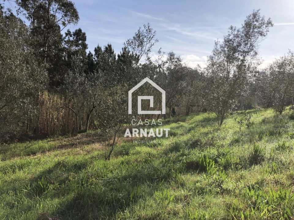 Terreno para Venda em Almagreira Foto 5