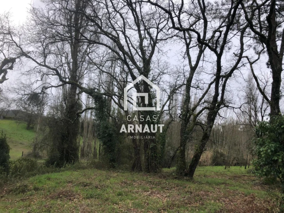 Terreno para Venda em Vila Cã Foto 8