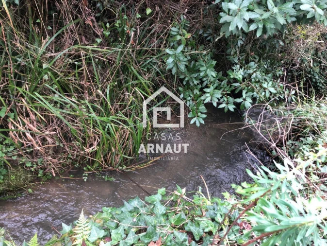 Terreno para Venda em Vila Cã Foto 3