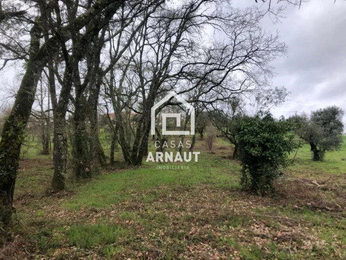 Terreno para Venda em Vila Cã Foto 5