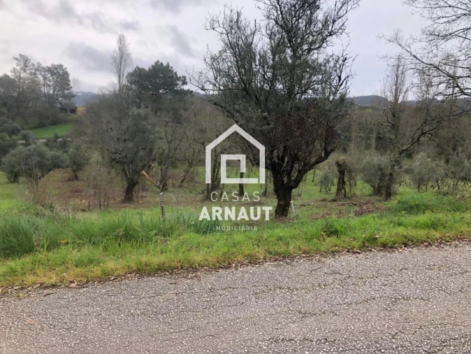 Terreno para Venda em Vila Cã Foto 2