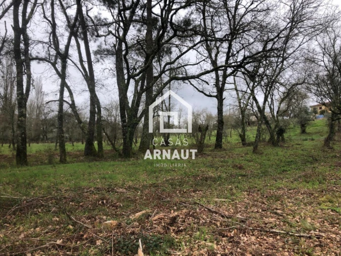 Terreno para Venda em Vila Cã Foto 11