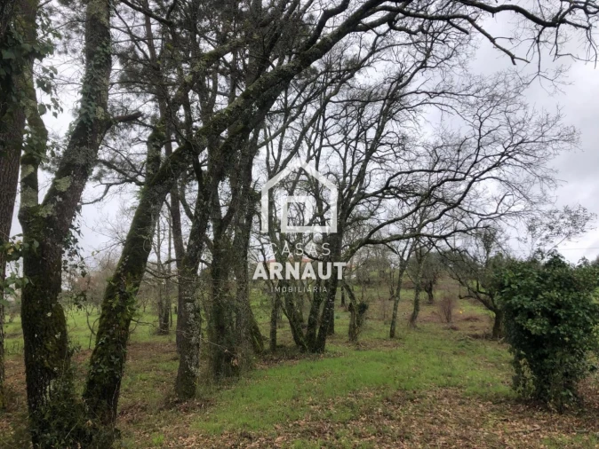 Terreno para Venda em Vila Cã Foto 4