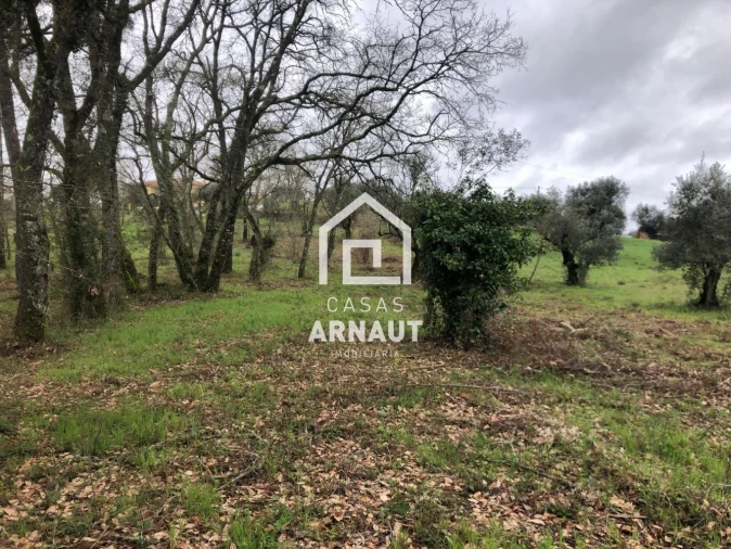 Terreno para Venda em Vila Cã Foto 9