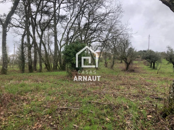 Terreno para Venda em Vila Cã Foto 6