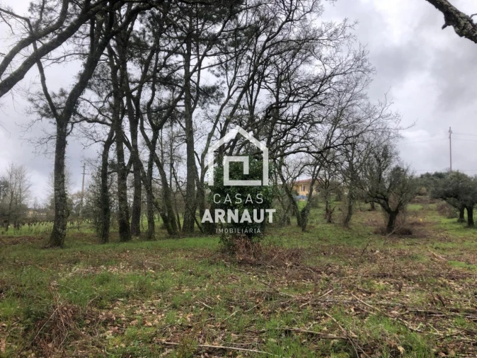 Terreno para Venda em Vila Cã Foto 7