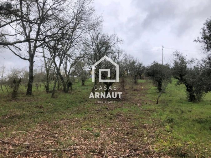 Terreno para Venda em Vila Cã Foto 12