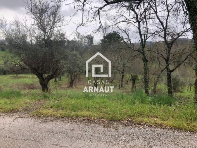 Terreno para Venda em Vila Cã Foto 13