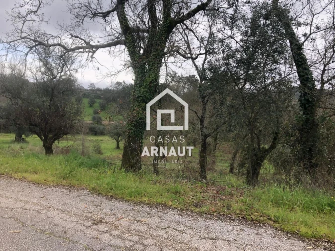 Terreno para Venda em Vila Cã Foto 14