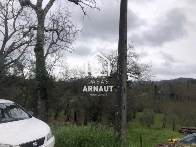 Terreno para Venda em Vila Cã Foto 15