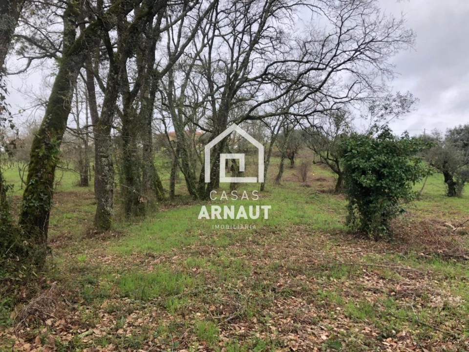 Terreno para Venda em Vila Cã Foto 1