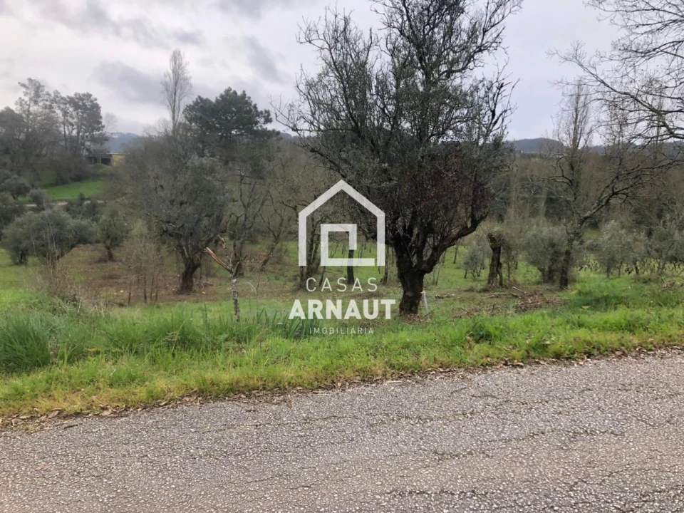 Terreno para Venda em Vila Cã Foto 2