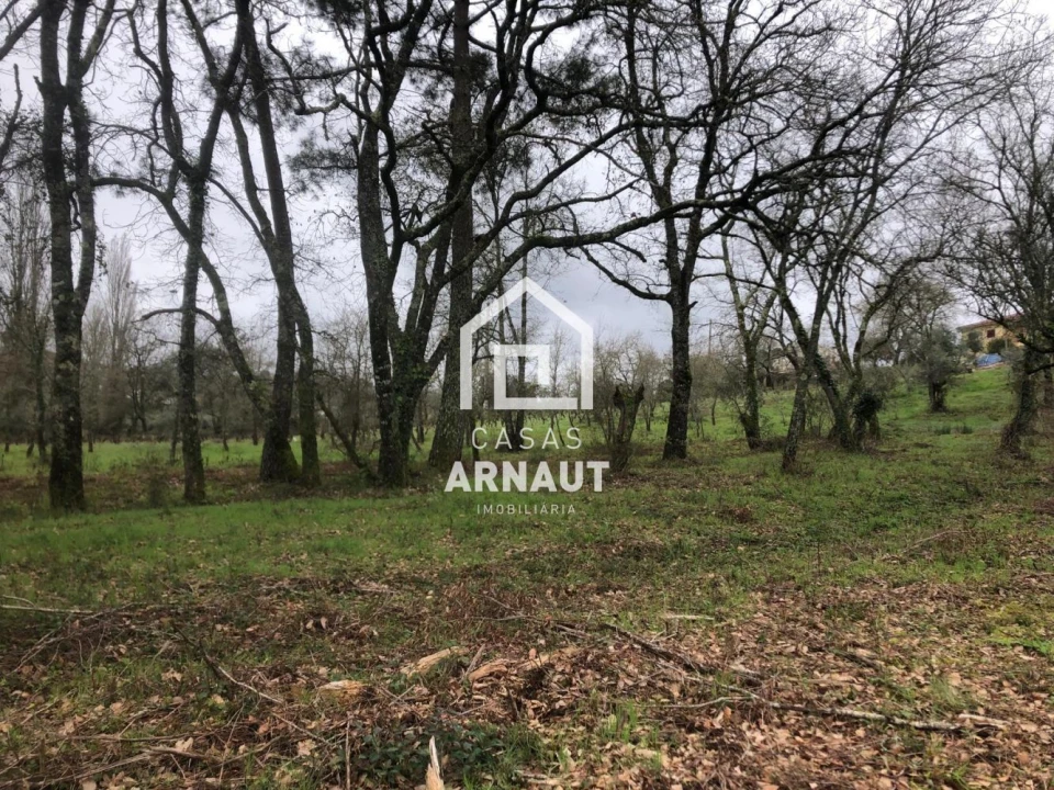 Terreno para Venda em Vila Cã Foto 11