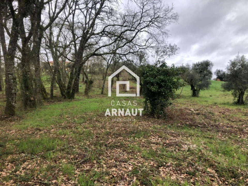 Terreno para Venda em Vila Cã Foto 9