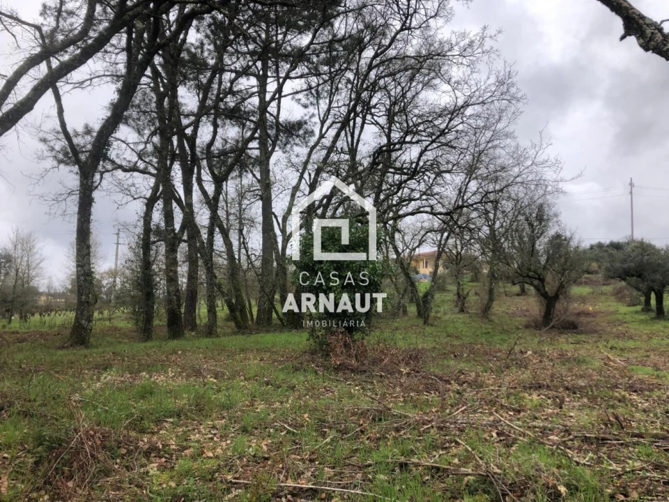 Terreno para Venda em Vila Cã Foto 7