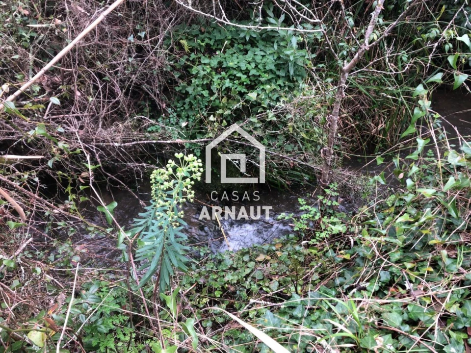 Terreno para Venda em Vila Cã Foto 17