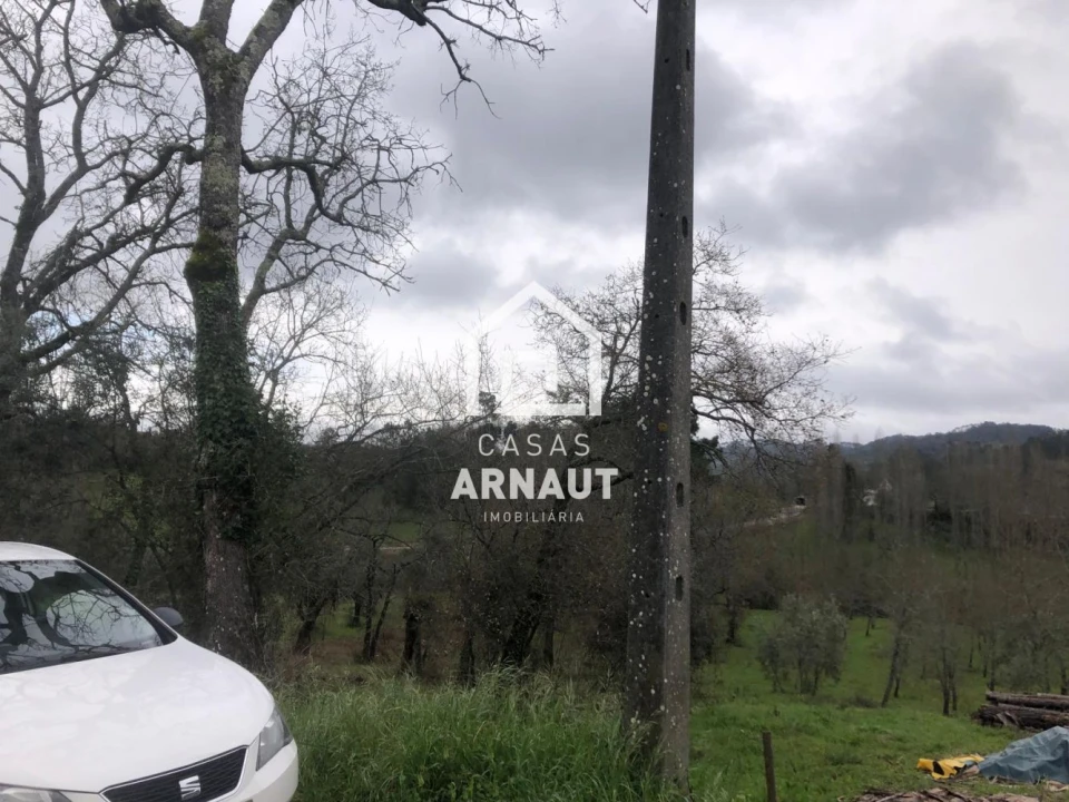 Terreno para Venda em Vila Cã Foto 15