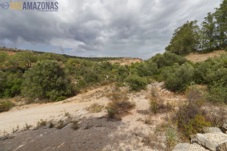 Terreno para Venda em Boliqueime Foto 2