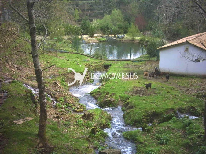 Quinta T3 para Venda em Portela Foto 39