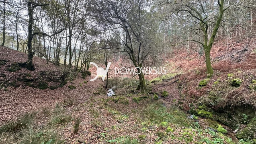 Quinta T3 para Venda em Portela Foto 42