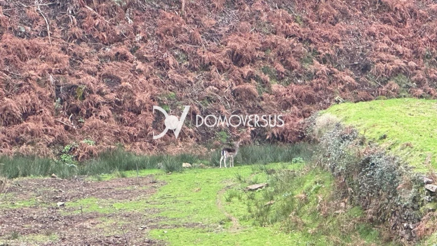 Quinta T3 para Venda em Portela Foto 40