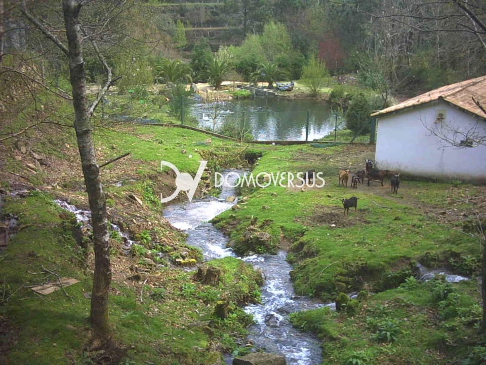 Quinta T3 para Venda em Portela Foto 39