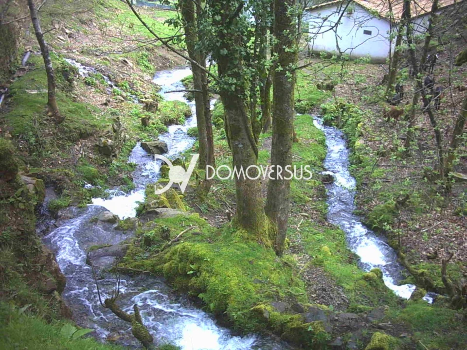 Quinta T3 para Venda em Portela Foto 38