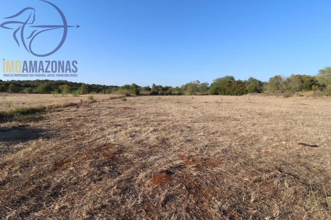 Terreno para Venda em Silves Foto 1