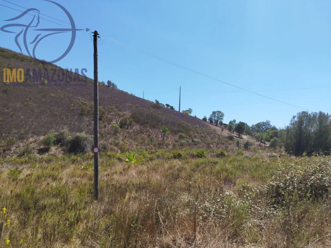 Terreno para Venda em Saboia Foto 3