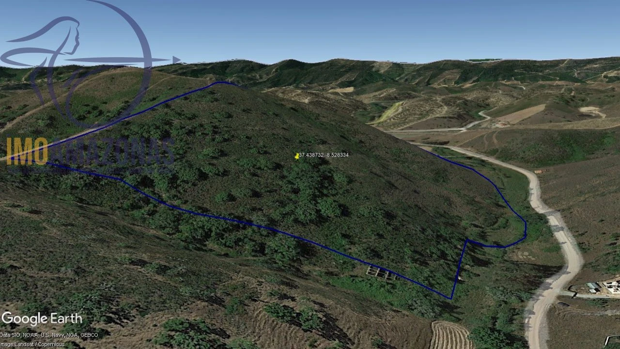 Terreno para Venda em Saboia Foto 7