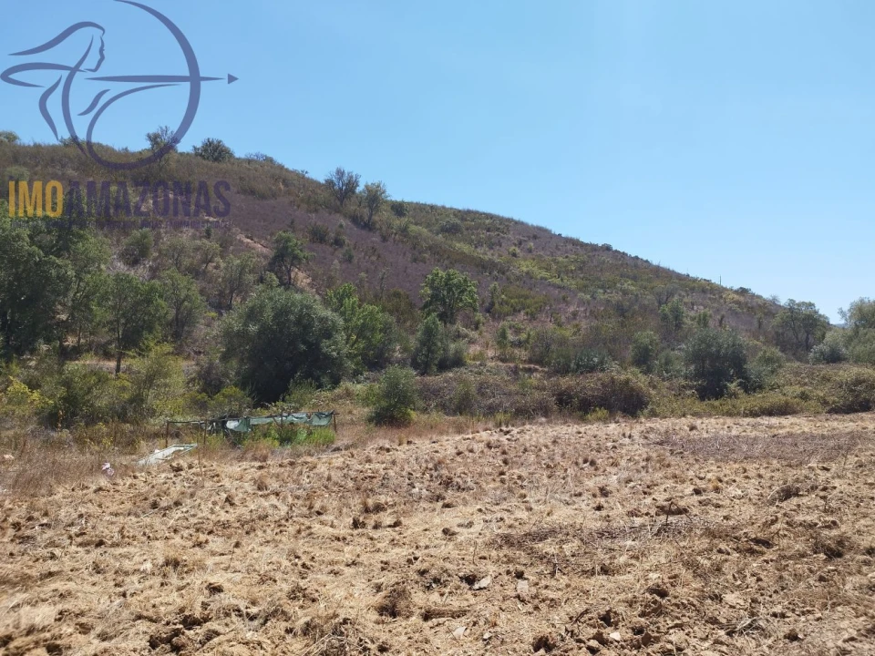Terreno para Venda em Saboia Foto 4
