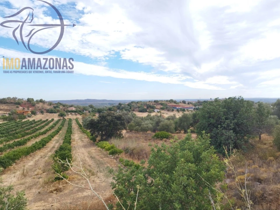 Terreno para Venda em São Bartolomeu de Messines Foto 1