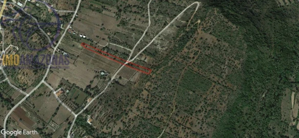 Terreno para Venda em São Bartolomeu de Messines