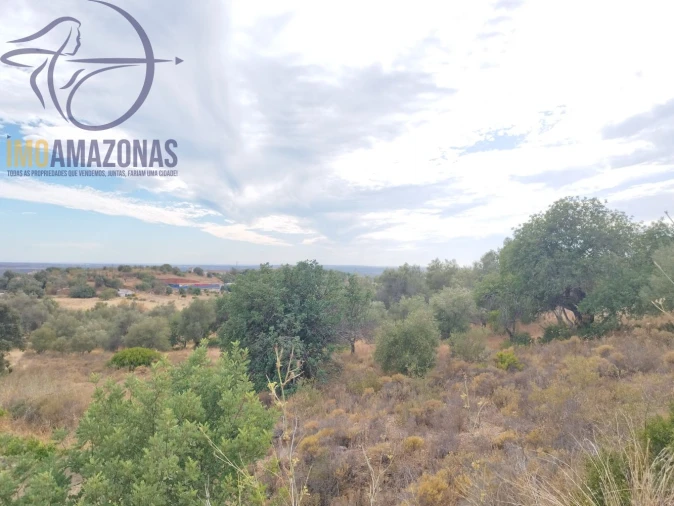 Terreno para Venda em São Bartolomeu de Messines Foto 6