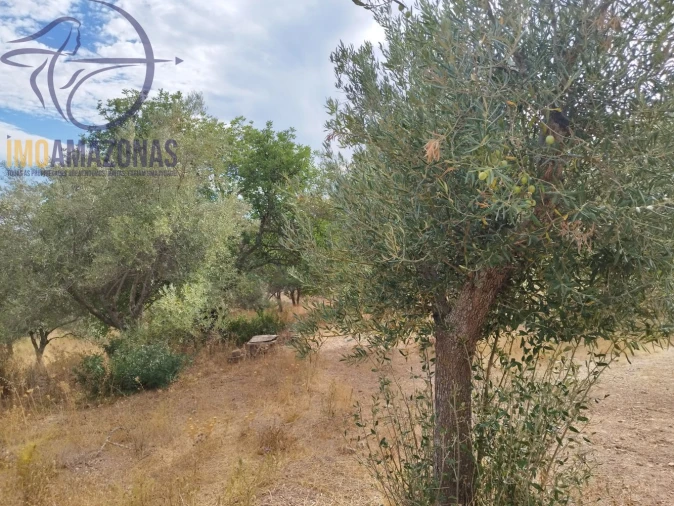 Terreno para Venda em São Bartolomeu de Messines Foto 9