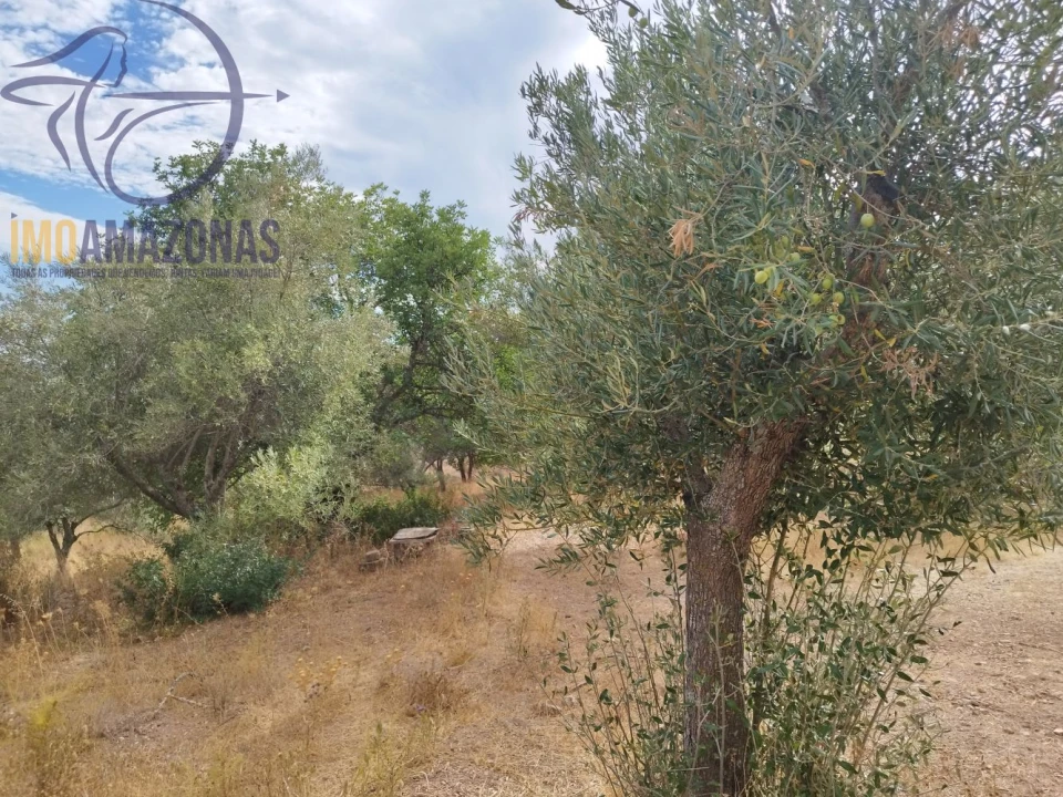 Terreno para Venda em São Bartolomeu de Messines Foto 9