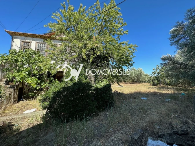 Moradia T3 para Venda em Vila Nova de Foz Côa Foto 5