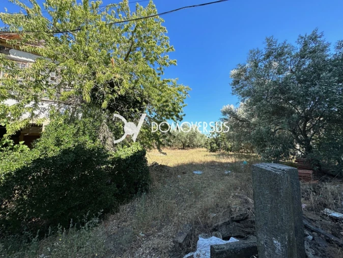 Moradia T3 para Venda em Vila Nova de Foz Côa Foto 11