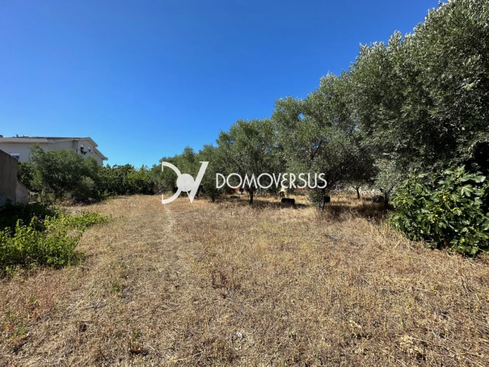 Moradia T3 para Venda em Vila Nova de Foz Côa Foto 12